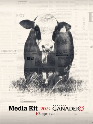 Tarifas de Publicidad