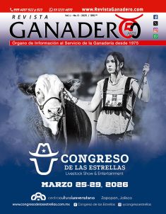 Noviembre - Diciembre 2025